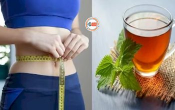 Green Tea For Digestion : मेथी से बनाएं हर्बल ग्रीन टी, चर्बी को पिघलाकर दूर करेगी, मोटापा भी होगा कम...