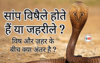 Difference Between Venomous and Poisonous Snakes : क्या आपको पता है विषैले और जहरीले सांप में अंतर, नहीं तो जान लीजिये, कौन होता है खतरनाक...