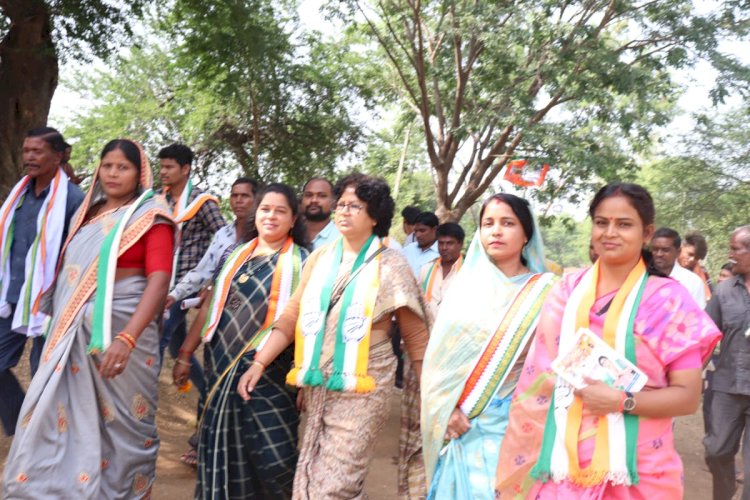 पामगढ़ विधानसभा क्षेत्र में लगातार कॉंग्रेस प्रत्याशी का जनसंपर्क जारी, लोगो का मिल रहा समर्थन