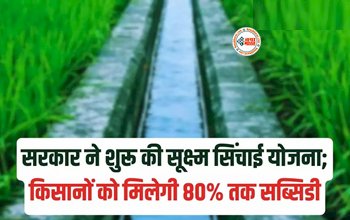 Irrigation Scheme Subsidy : किसानो के लिए बड़ी खुशखबरी! सरकार ने शुरू की सिंचाई योजना, अब मिलेगा 80% की बंपर सब्सिडी, जाने पूरी डिटेल...