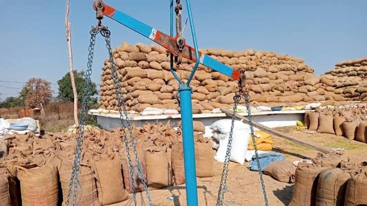 CG में चुनाव और त्योहार खत्म होते ही उपार्जन केंद्र में उमड़े किसान, हुई धान की रिकार्ड आवक, जानिए अब तक कितने मीट्रिक टन हुई धान की बिक्री....