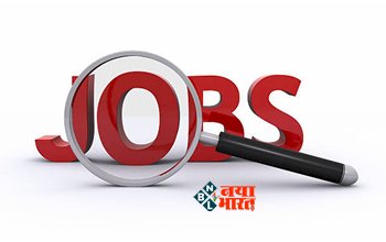 Government Job: NLC इंडिया लिमिटेड में 295 पदों पर निकली भर्ती, सैलरी 1 लाख से ज्यादा, आवेदन आज से शुरू...