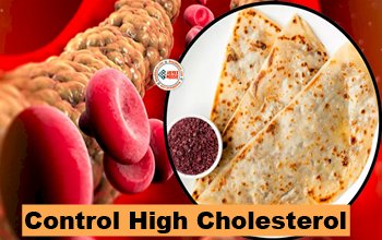 Control High Cholesterol : अब रोज खाएं पराठे नहीं बढ़ेगा कोलेस्ट्रॉल, बस कर ले ये काम...