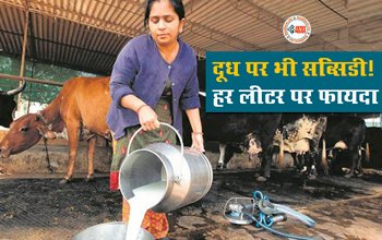 MILK SUBSIDY : पशुपालको के लिए बड़ी खुशखबरी! अब दूध पर मिलेगा प्रति लीटर तीन रुपये अनुदान, सरकार ने किया बड़ा ऐलान...