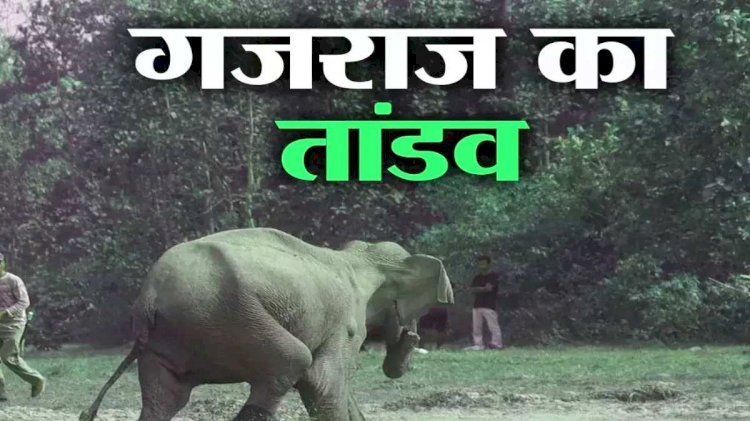 CG में गजराज बने यमराज : हाथी ने महिला को पटक-पटककर उतारा मौत के घाट, ग्रामीणों में दहशत का माहौल....
