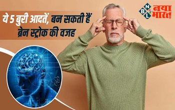 Brain Stroke: ब्रेन स्ट्रोक से पहले शरीर में दिखते हैं ये 5 बुरी आदतें, न करें नजरंदाज करने की भूल, बढ़ता है ब्रेन स्ट्रोक का खतरा...