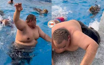 Funny Video: स्विमिंग पूल में पहुँच गया बाघ, नज़ारा देख बचने के लिए शख्स ने लगा दी पूरी जान, अंत में जो हुआ..- देखें विडियो...