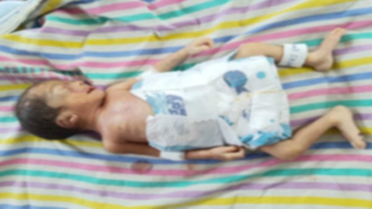 CG NEWS : नवजात इस हालत में मिली ,इलाज के दौरान मौत, क्षेत्र में मचा हड़कंप, लोगों ने जताई ये आशंका.....