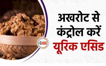 Uric Acid : अखरोट के सेवन से कंट्रोल होगा यूरिक एसिड, सेवन करते ही जोड़ो का दर्द होगा गायब; किन्तु एक बात का रखें खास ध्यान...