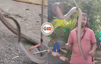 Cobra Ka Video: विशालकाय कोबरा सांप निकलने से मचा हड़कंप, फन फैलाकर खड़ा हो गया सांप, बाल बाल बचा लड़का- देखे पूरा VIDEO...