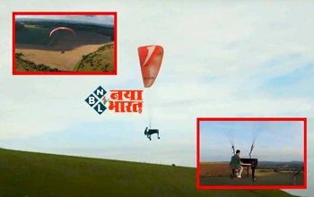 Parachute Stunt Viral Video: पियानो के साथ आसमान में भरी उड़ान और फिर हवा में दिखाया ऐसा करतब- देखे ये वायरल विडियो...