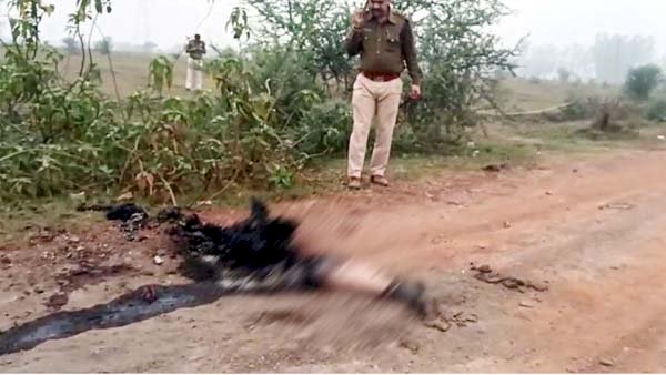 CG - सड़क किनारे मिली महिला की अधजली लाश, क्षेत्र में फैली सनसनी, हत्या या फिर….जांच में जुटी पुलिस.....