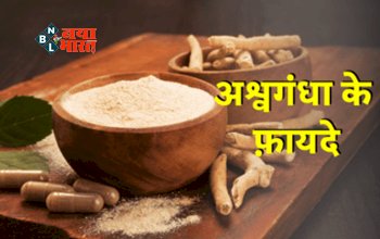 Ashwagandha for Stomach : पेट के लिए बेहद फायदेमंद है अश्वगंधा, शारीरिक और मानसिक तनाव से मिलेगा छुटकारा, जाने सेवन करने का तरीका...