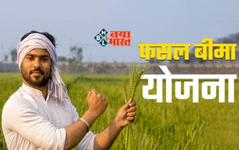 PMFBY : किसानो के लिए बड़ी खबर! इन फसलों पर करा सकते है बीमा, जाने आवेदन और इससे जुड़ी सारी डिटेल...