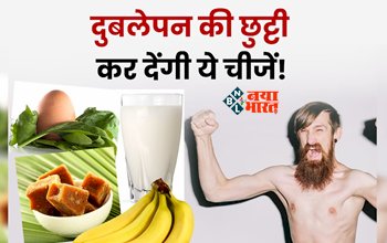 Tips For Weight Gain : दुबलेपन से हैं परेशान! तो आज ही अपने डाइट में शामिल करें ये पॉवरफूल चीजे, ऐसे करें सेवन, कुछ ही दिनों में नज़र आएगा फर्क...