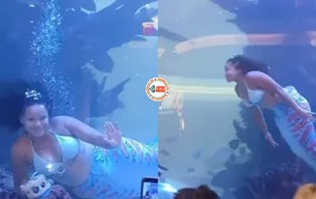 Mermaid Viral News: जलपरी बनकर पानी में लोगों का मनोरंजन करने लगी लड़की, लेकिन तभी एक गलती और...- देखें विडियो...