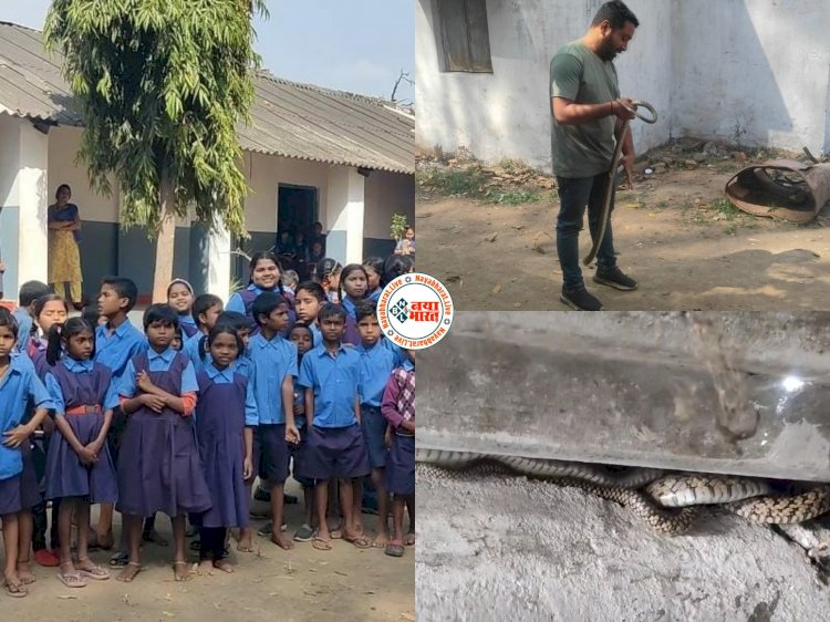 CG VIDEO: स्कूल के टॉयलेट में निकला 7 फिट लंबा सांप... बच्चों ने देखा तो मची चीख पुकार... फिर जो हुआ... देखें वीडियो....