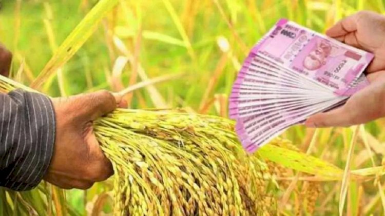 CG - किसानों को बड़ा तोहफा : छत्तीसगढ़ के लाखों किसानों के लिए सरकार ने की राशि भुगतान की तैयारी, इस दिन खाते में आएगी धान बोनस की राशि!