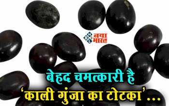 Kali Gunja : बेहद कारगर है काली गुंजा का ये उपाय, कठिन से कठिन समस्याओं का होगा खात्मा, बरसेगी कृपा...