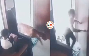 Child Locked Leopard in Cabin : मोबाइल में गेम खेल रहा था लड़का, तभी घर में घुस गया खूंखार तेंदुआ, फिर जो दिमाग लगाया, देखें विडियो...