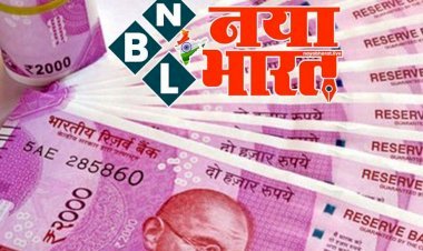 CG महंगाई भत्ता : राज्य के कर्मचारियों, अधिकारियों के लिए बड़ी खुशखबरी, होली से पहले मिलेगा तोहफा, जल्द जारी हो सकता है DA वृद्धि का आदेश.....