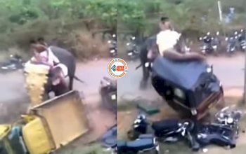 Angry Elephant Viral Video: गुस्साए हाथी ने मचाया तहलका, खिलौनों की तरह गाड़ियों के उड़ा दिए परखच्चे, नज़ारा देख हर कोई हैरान, देखें विडियो...