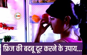 Fridge Smell : फ्रिज में रखें खाने से आ रही बदबू, तो तुरंत अपनाएं ये तरीका, हमेशा रहेंगे दूर बदबू और बैक्टीरिया...