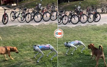 Robot Dog Viral Video : रोबोट डॉग से भिड़ा असली कुत्ता, लेकिन जो हुआ वो सोंचा नही होगा आपने, देखें मजेदार विडियो...