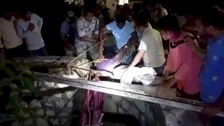CG - गैंगरेप पीड़िता की कुएं में मिली लाश, 3 साल पहले होली के दिन ही हुआ था सामूहिक दुष्कर्म, मामले की जांच में जुटी पुलिस....