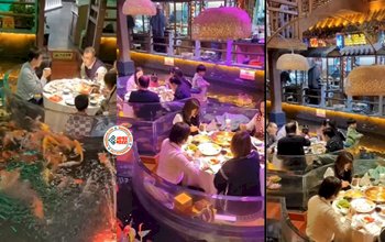 Restaurant Viral Video : मछलियों के बीच बैठकर खाना खाते दिखे लोग, कभी नही देखा होगा ऐसा अनोखा रेस्टोरेंट, देखें विडियो...