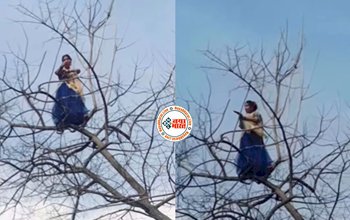 Ladki Ka Dance: डांस करने के लिए पेड़ पर चढ़ गई महिला, धड़ल्ले से वायरल हो रहा है Video...