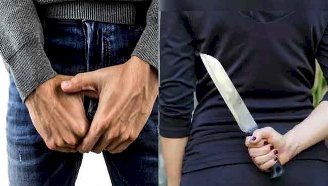 CG पत्नी ने काटा पति का प्राइवेट पार्ट: पत्नी ने इस बात को लेकर उठाया खौफनाक कदम....पति लहूलुहान हालत में पहुंचा थाने, बोला साहब बचा लो…जानें पत्नी ने क्यों उठाया ये खौफनाक कदम...