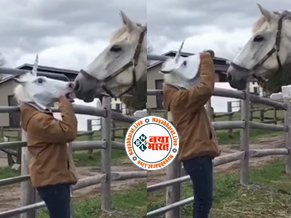 Girl and Horse Viral News: असली घोड़े के पास मास्क लगाकर चली गई लड़की, फिर घोड़ा ने कर दी ऐसी हरकत कि शर्मिंदा हो गई लड़की, देखें वीडियो...