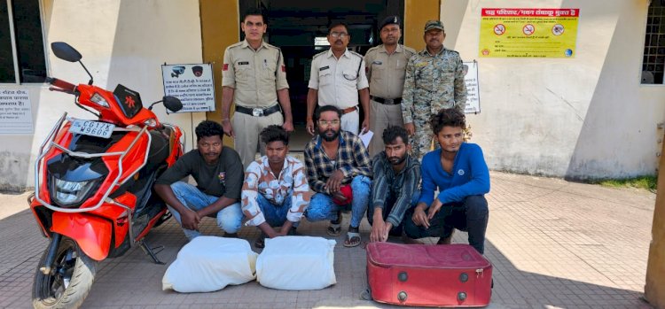 CG - गांजा की‌ तस्करी : नया पुलिया रोड में अवैध रूप से गांजा तस्करी करते आरोपी को कोतवाली पुलिस ने किया गिरफ्तार...