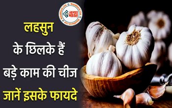 Garlic Peel Benefits:लहसुन ही नहीं इसका छिलका भी है सेहतमंद, इसमें छिपा है स्किन से लेकर सूजन तक की परेशानी का इलाज, इस तरह खाने में करें इस्तेमाल मिलेंगे गजब के फायदे...