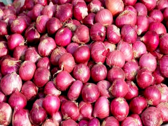 Onion stock : इस बार महंगी नहीं होगी प्याज! सरकार ने रेट पर लगाम लगाने के लिए किया यह इंतजाम