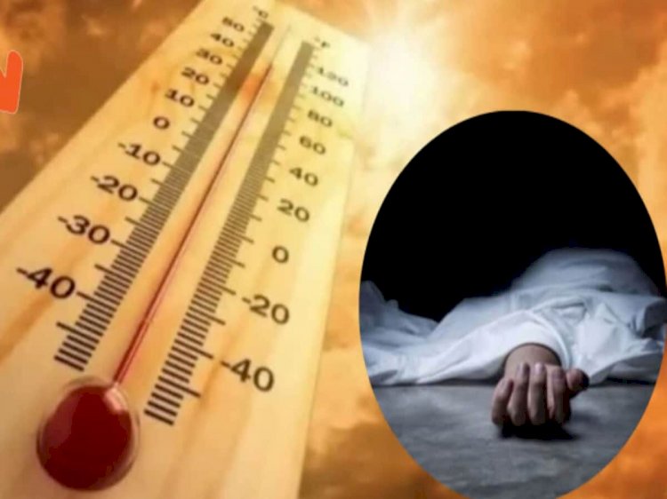 Heat Wave in Chhattisgarh : छत्तीसगढ़ में हीटवेव का कहर जारी, लगातार बढ़ रहा है मरने वालों का आंकड़ा, अब तक इतने लोगों की गई जान, सीएम साय ने की ये अपील.....