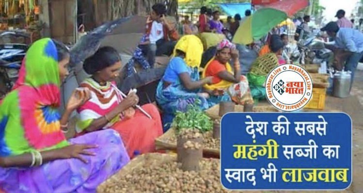 Chhattisgarh News : देश की सबसे महँगी शाकाहारी सब्जी का स्वाद भी लाजवाब,अब आ गया छत्तीसगढ़ के बाजारो में स्वादिष्ट बोड़ा...जाने क्या है मार्केट में बोड़ा की कीमत…