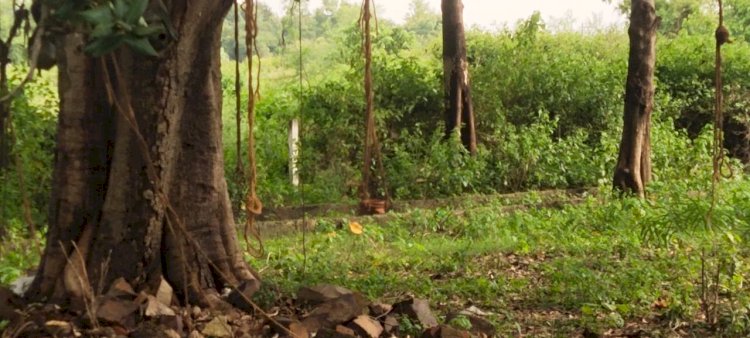 कोरोना महामारी के दौरान जिन अज्ञात लोगों का अंतिम संस्कार किया गया था, 4 वर्ष पश्चात सक्षम करेगा अस्थित विसर्जन, देव तुल्य कार्य की जिला दंडाधिकारी ने दी अनुमति : अविनाश सिंह गौतम, संयोजक सक्षम