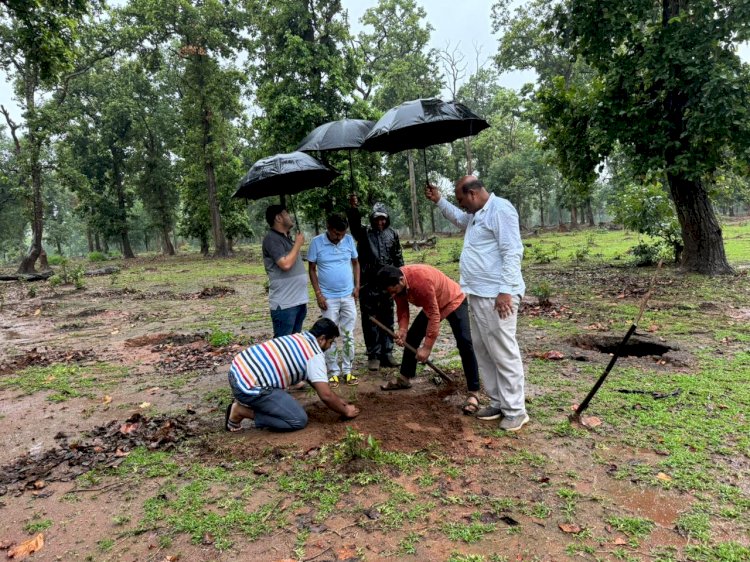 अंबिकापुर विधायक राजेश अग्रवाल जी के पहल पर
उनके निर्देशानुशार प्रतिनिधियों एवं फॉरेस्ट विभाग के
अधिकारियो द्वारा वृक्ष रोपड़ की शुरूवात की गई