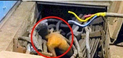 CG - भिलाई स्टील प्लांट में बड़ा हादसा, इलेक्ट्रिक केबल के जाल के बीच युवक की मिली लाश, शरीर पर नहीं थे कपडे, हादसा या फिर.... पुलिस जांच में जुटी.....