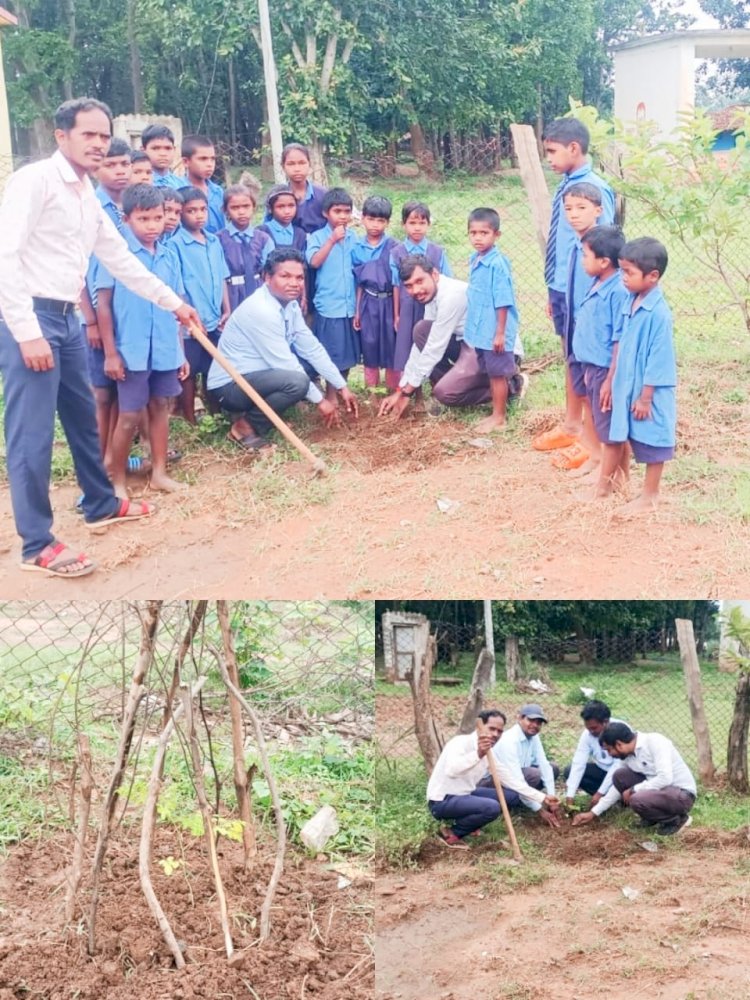 CG - शासकीय पुर्व प्राथमिक माध्यमिक शाला तराईबेडा में एक पेड़ मां के नाम अभियान के तहत पौधारोपण किया गया...
