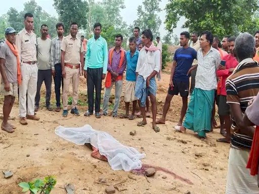 CG Elephant Attack : गांव में घुसे हाथियों ने मचाया उत्पात, एक ग्रामीण को कुचलकर मार डाला, दूसरे ने भागकर बचाई जान, गांव में दहशत माहौल, वन विभाग ने कराई ये मुनादी.....