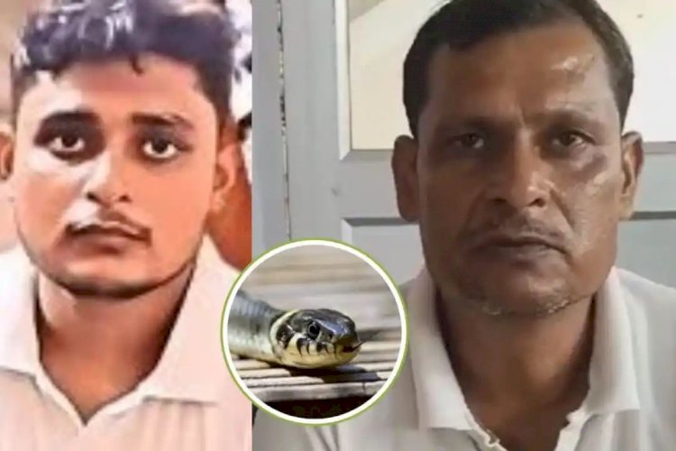 विकास दुबे को आठवीं बार काटा सांप अब कैसी है स्थिति इस बार क्या विचित्र हुआ और क्या बोल रहे हैं उनके पिता जानें इस अनोखे घटना से जुड़ी सारी बातें पढ़े पूरी खबर