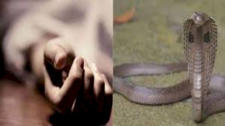 CG मां-बेटे की सांप के काटने से मौत : गोद में डेढ़ साल के बच्चे को लेकर सो रही थी मां, तभी जहरीले सांप ने डसा, अस्पताल पहुंचने से पहले रास्ते में ही दोनों ने तोड़ा दम, गांव में पसरा मातम.....