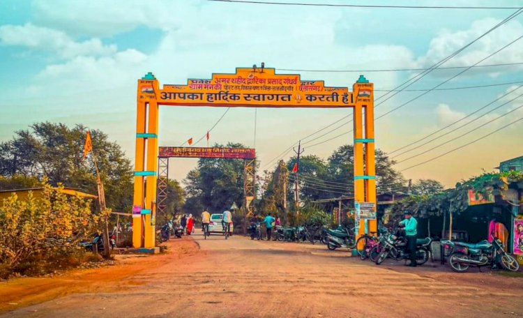 CG - ग्राम मनकी को पंचायत बनाने की मांग...