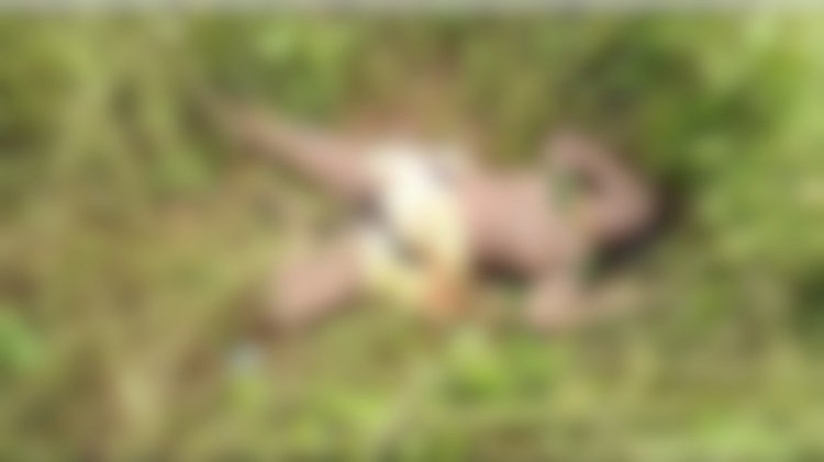 CG - दिल दहला देने वाली वारदात : झाड़ियों में मिली अर्धनग्न अवस्था में महिला की लाश, प्राइवेट पार्ट में मिले लकड़ी के टुकड़े, हैवानियत के बाद हत्या की आशंका....
