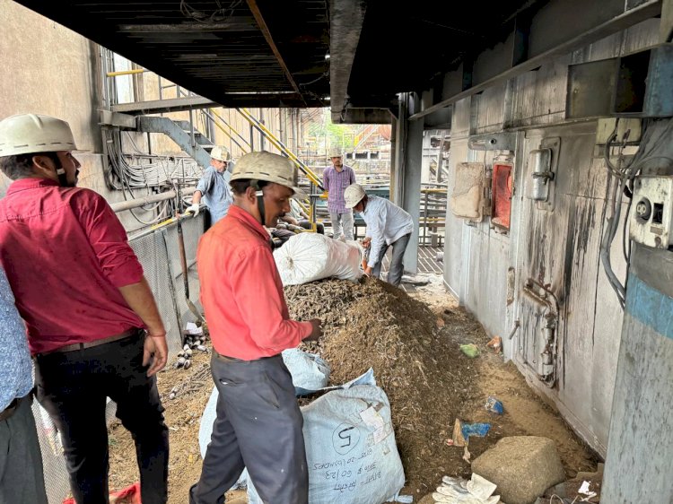CG - बड़ी कार्यवाही: भारी मात्रा में जलाया गया गांजा, टैबलेट्स-इंजेक्शन, अफीम-चरस... 15 करोड़ का नशे का सामान नष्ट....