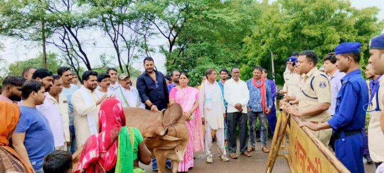 CG - कुशल कश्यप के नेतृत्व में हसौद तहसील कार्यालय के सामने किया गया गौ - सत्याग्रह आंदोलन