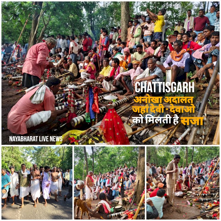 CG अनोखी परंपरा VIDEO : आदिकालों से चली आ रही परपंरा ,छत्तीसगढ़ की इस अदालत में लगती है देवी-देवताओं की पेशी, तत्काल फैसला सुनाकर मिलती है दोषी को सजा ,भक्ति का उमड़ पडता है जन सैलाब, सम्मिलित होते हैं सात परगना…पढ़िए पूरी खबर,देखे विडियो….